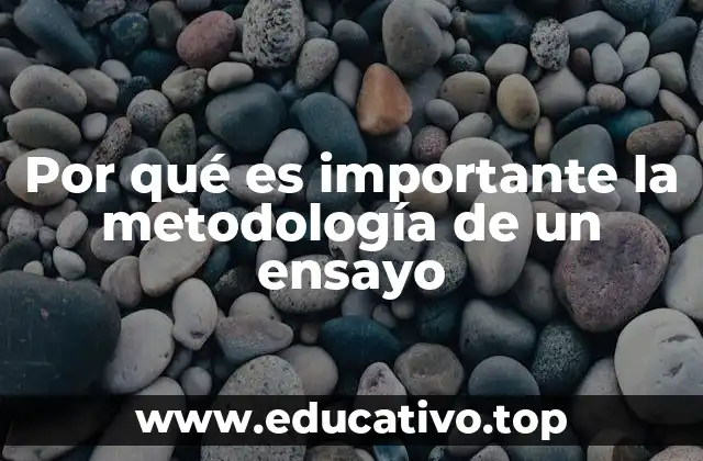 Por qué es importante la metodología de un ensayo
