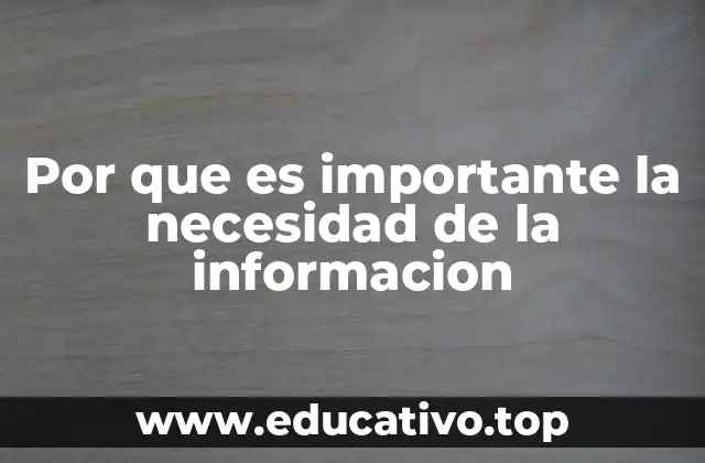 Por que es importante la necesidad de la informacion