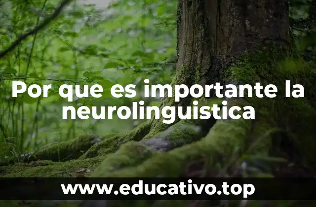 Por que es importante la neurolinguistica