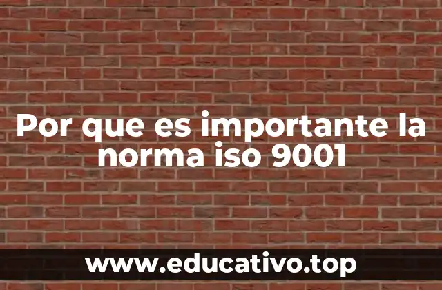 Por que es importante la norma iso 9001