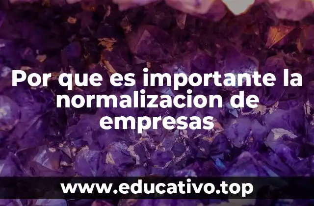 Por que es importante la normalizacion de empresas