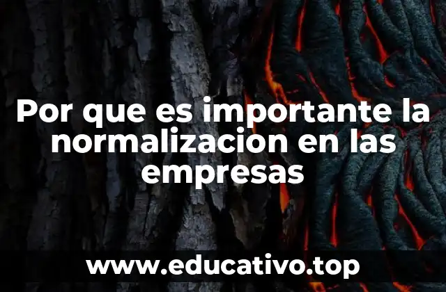 Por que es importante la normalizacion en las empresas