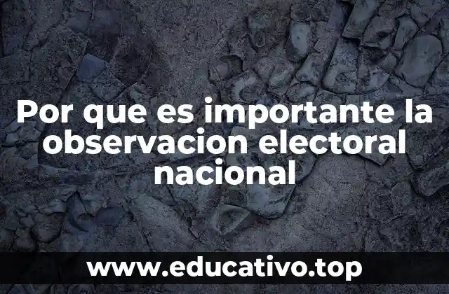 Por que es importante la observacion electoral nacional