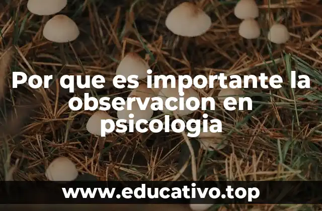 Por que es importante la observacion en psicologia