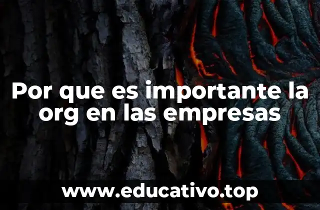 Por que es importante la org en las empresas