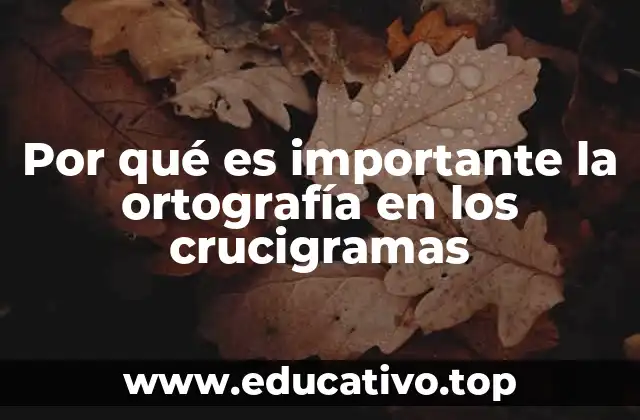 Por qué es importante la ortografía en los crucigramas