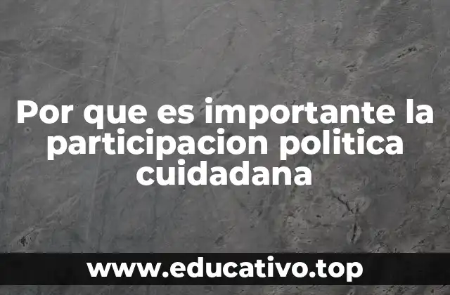 Por que es importante la participacion politica cuidadana