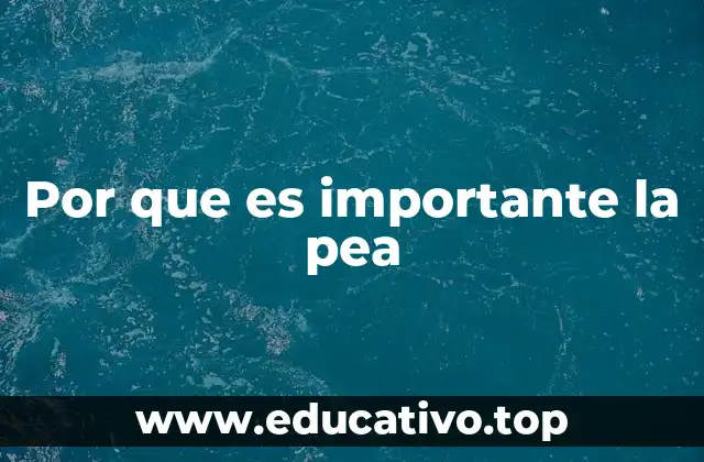 Por que es importante la pea