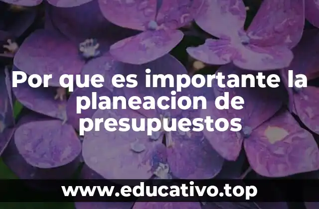 Por que es importante la planeacion de presupuestos