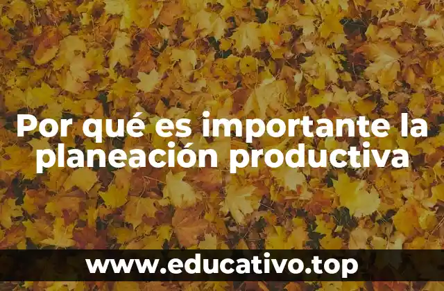 Por qué es importante la planeación productiva