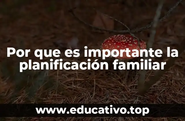 Por que es importante la planificación familiar