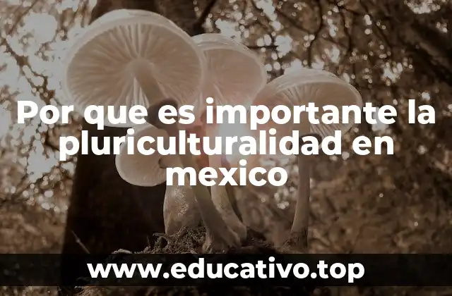 Por que es importante la pluriculturalidad en mexico