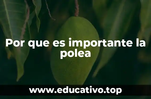 La influencia de la polea en la ingeniería moderna