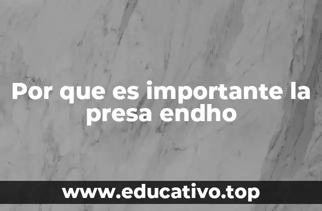 Por que es importante la presa endho