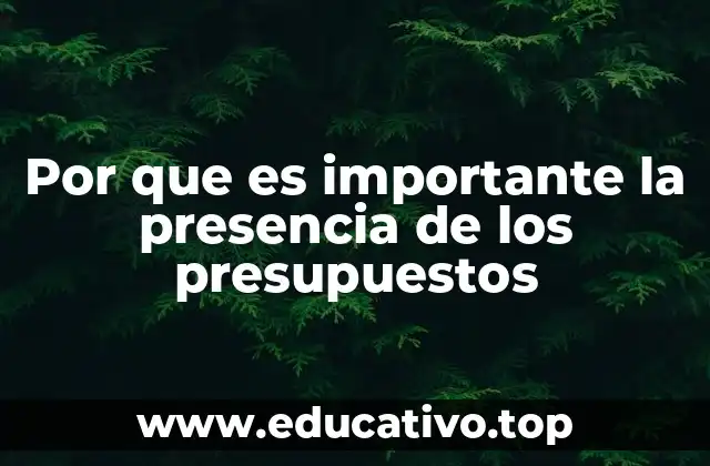 La planificación financiera como herramienta de control