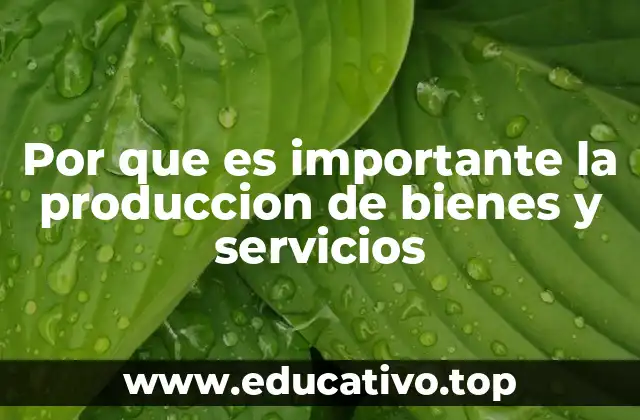 Por que es importante la produccion de bienes y servicios