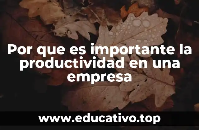 Por que es importante la productividad en una empresa
