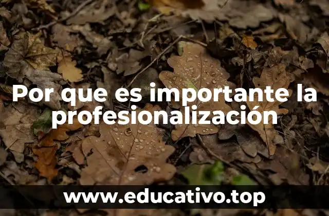 Por que es importante la profesionalización