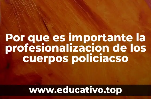 Por que es importante la profesionalizacion de los cuerpos policiacso