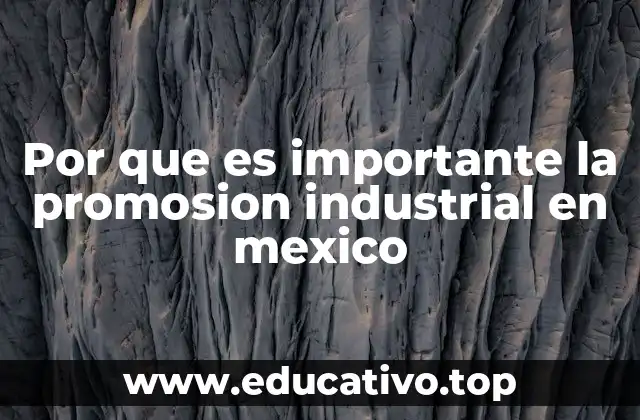 Por que es importante la promosion industrial en mexico