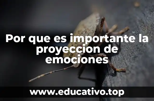 Por que es importante la proyeccion de emociones