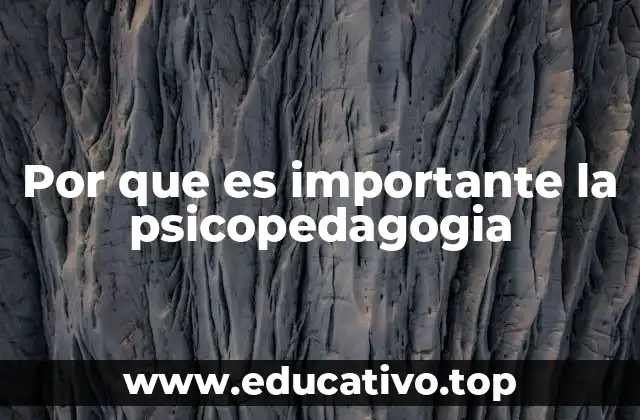 Por que es importante la psicopedagogia