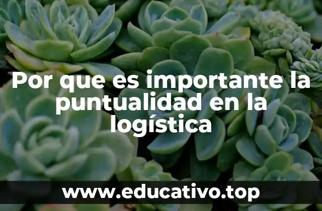 Por que es importante la puntualidad en la logística
