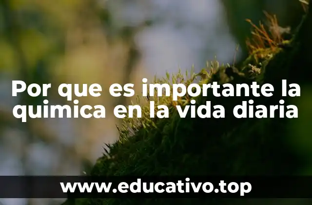 Por que es importante la quimica en la vida diaria
