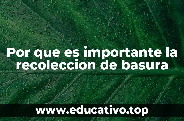 Por que es importante la recoleccion de basura
