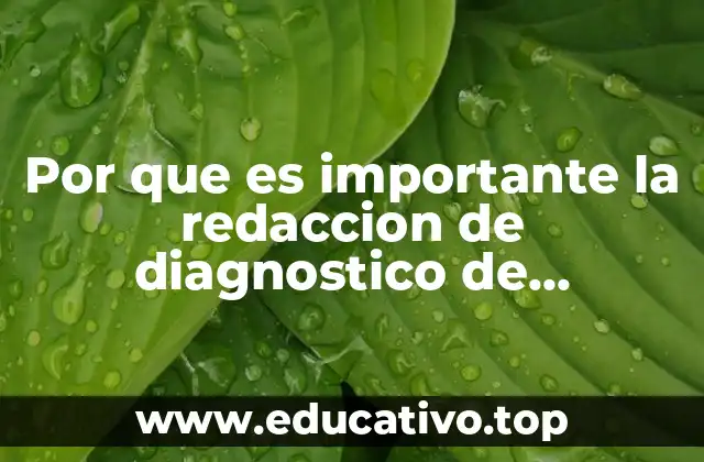 Por que es importante la redaccion de diagnostico de enfermeria