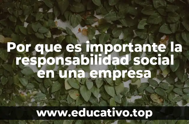 Por que es importante la responsabilidad social en una empresa