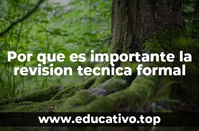 Por que es importante la revision tecnica formal