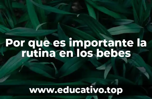 Por que es importante la rutina en los bebes