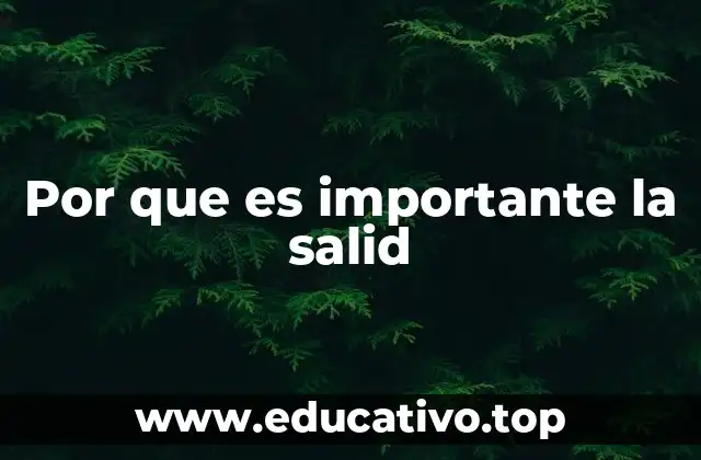 Por que es importante la salid