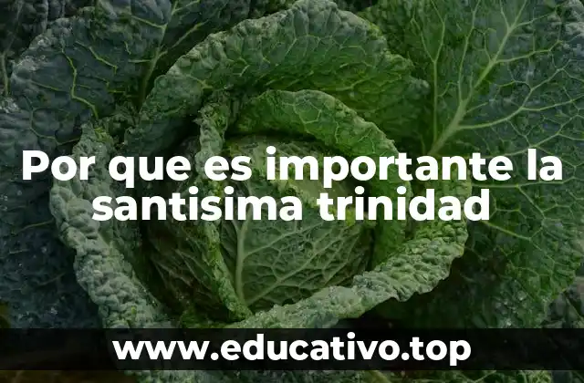 Por que es importante la santisima trinidad