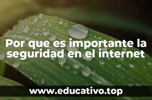 Por que es importante la seguridad en el internet