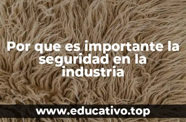 Por que es importante la seguridad en la industria