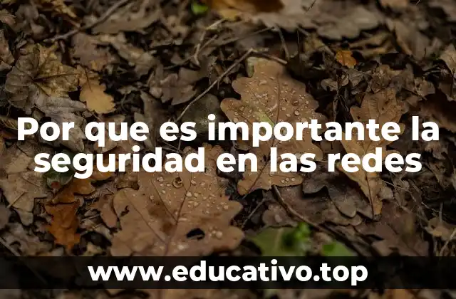 Por que es importante la seguridad en las redes