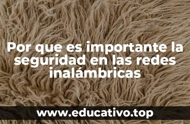 Por que es importante la seguridad en las redes inalámbricas