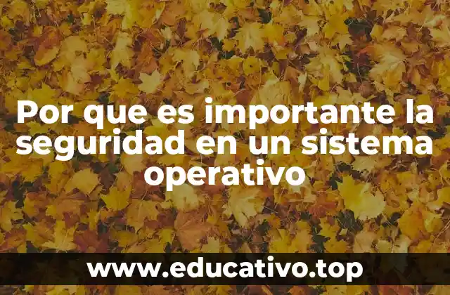 Por que es importante la seguridad en un sistema operativo