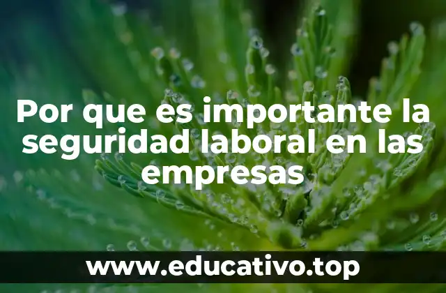 Por que es importante la seguridad laboral en las empresas