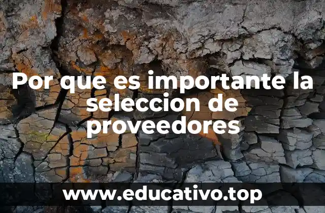 Por que es importante la seleccion de proveedores