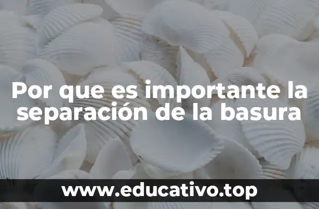 Por que es importante la separación de la basura