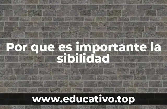 Por que es importante la sibilidad