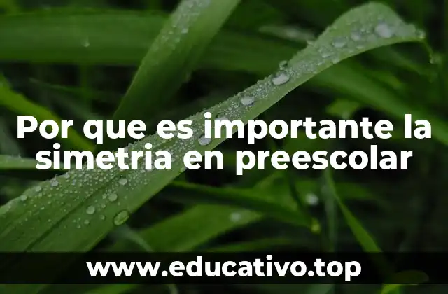 Por que es importante la simetria en preescolar
