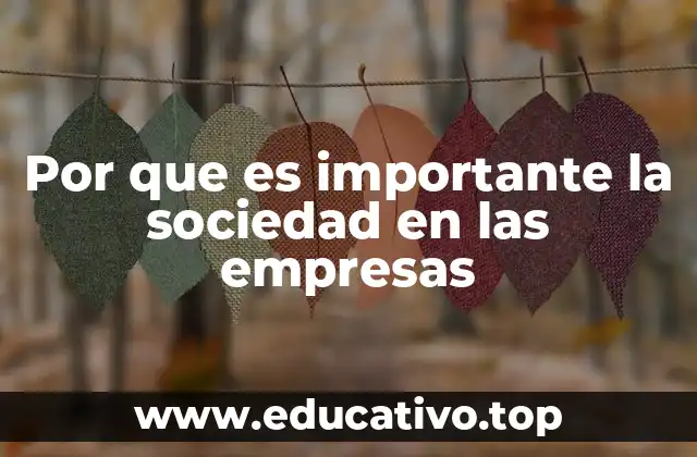 Por que es importante la sociedad en las empresas