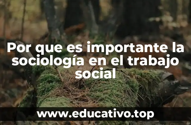 Por que es importante la sociología en el trabajo social