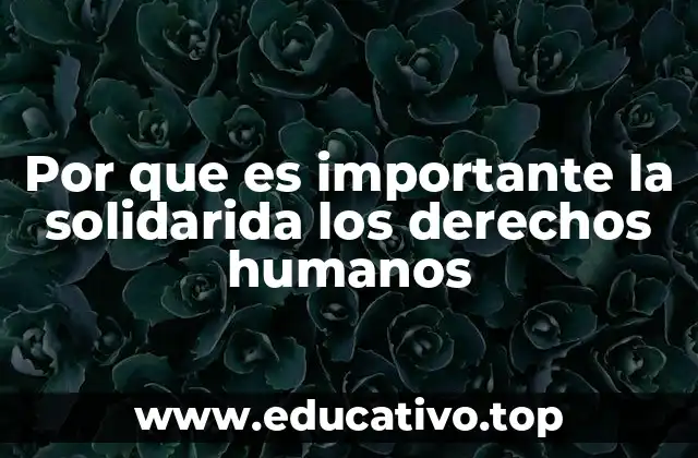 Por que es importante la solidarida los derechos humanos