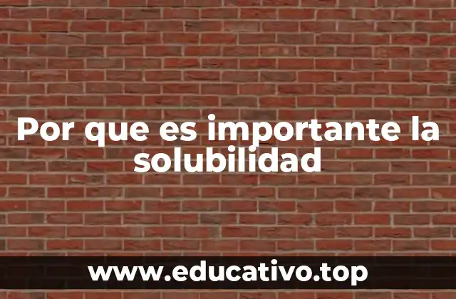 Por que es importante la solubilidad