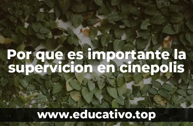 Por que es importante la supervicion en cinepolis